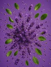 Calming Fields Natural Deodorant